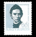 szrlap